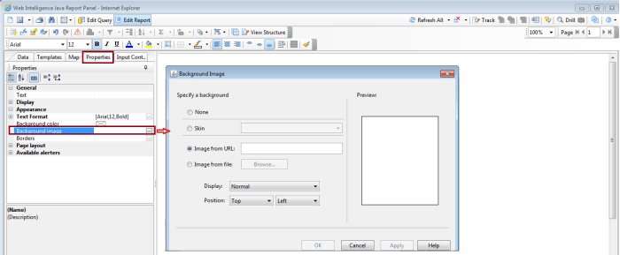 Dynamic Image in Webi2